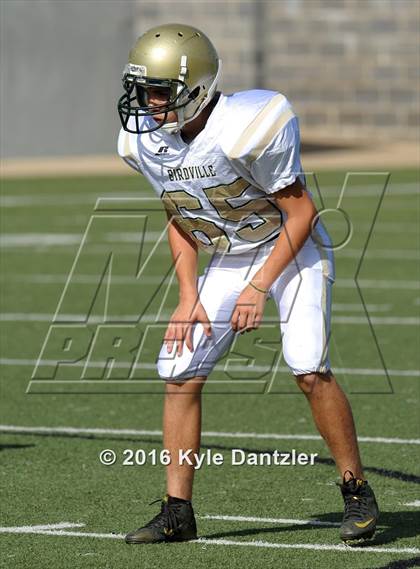 Thumbnail 2 in Boswell Gold @ Birdville Green photogallery.