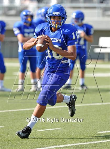 Thumbnail 2 in Boswell Gold @ Birdville Green photogallery.
