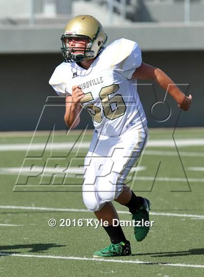 Thumbnail 1 in Boswell Gold @ Birdville Green photogallery.