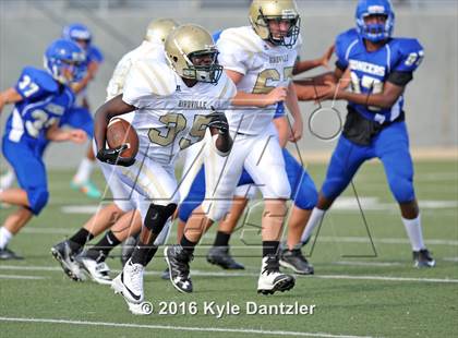 Thumbnail 3 in Boswell Gold @ Birdville Green photogallery.