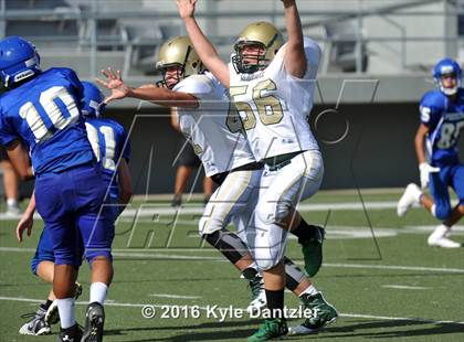 Thumbnail 3 in Boswell Gold @ Birdville Green photogallery.