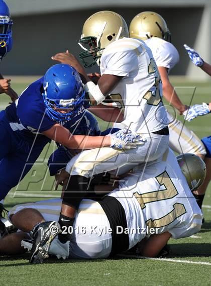 Thumbnail 3 in Boswell Gold @ Birdville Green photogallery.