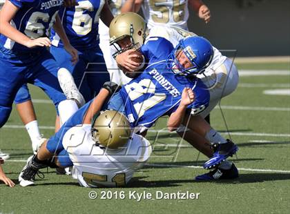 Thumbnail 3 in Boswell Gold @ Birdville Green photogallery.