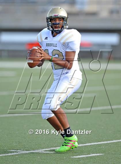 Thumbnail 3 in Boswell Gold @ Birdville Green photogallery.