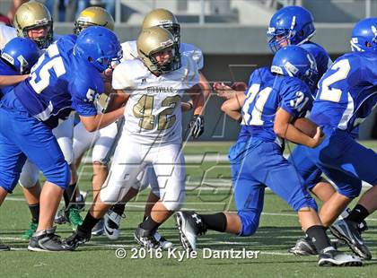 Thumbnail 1 in Boswell Gold @ Birdville Green photogallery.