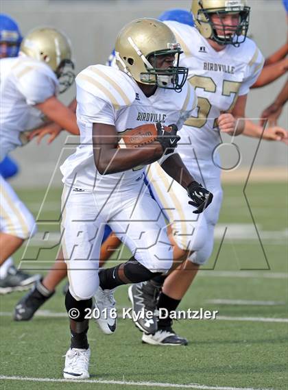 Thumbnail 1 in Boswell Gold @ Birdville Green photogallery.
