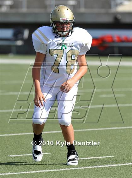 Thumbnail 2 in Boswell Gold @ Birdville Green photogallery.