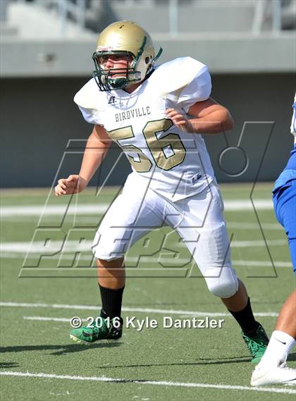 Thumbnail 3 in Boswell Gold @ Birdville Green photogallery.
