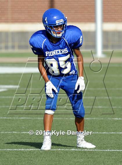 Thumbnail 2 in Boswell Gold @ Birdville Green photogallery.