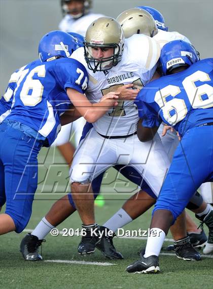 Thumbnail 3 in Boswell Gold @ Birdville Green photogallery.