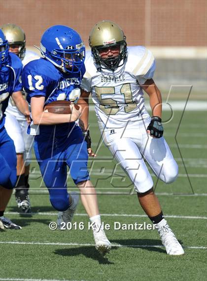 Thumbnail 2 in Boswell Gold @ Birdville Green photogallery.