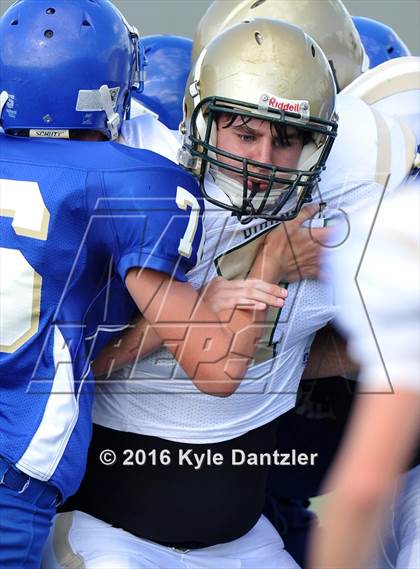 Thumbnail 1 in Boswell Gold @ Birdville Green photogallery.