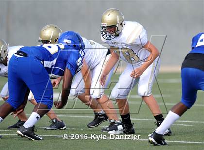 Thumbnail 2 in Boswell Gold @ Birdville Green photogallery.