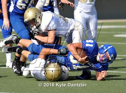 Thumbnail 1 in Boswell Gold @ Birdville Green photogallery.