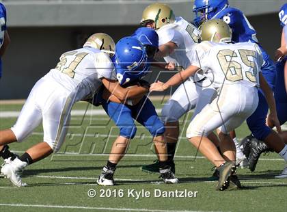 Thumbnail 3 in Boswell Gold @ Birdville Green photogallery.