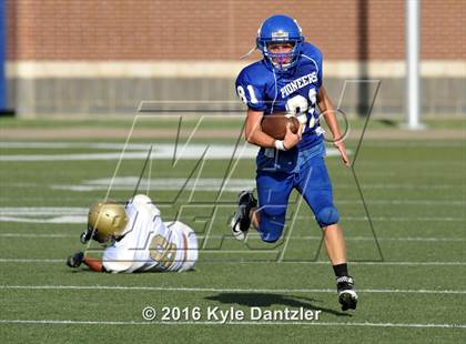 Thumbnail 3 in Boswell Gold @ Birdville Green photogallery.