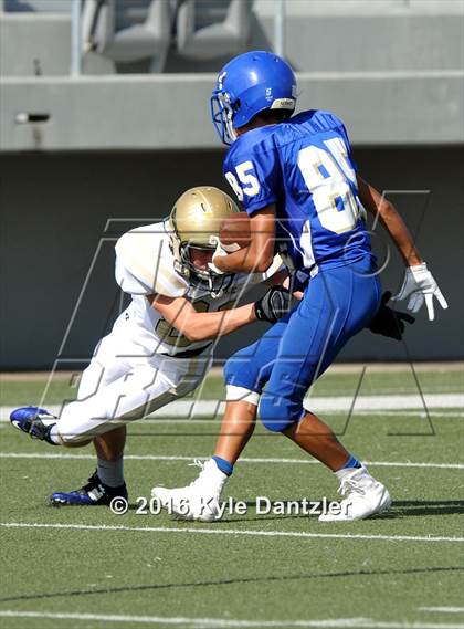Thumbnail 3 in Boswell Gold @ Birdville Green photogallery.