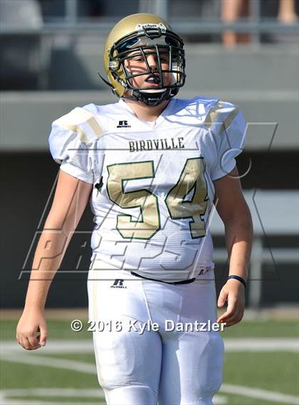 Thumbnail 3 in Boswell Gold @ Birdville Green photogallery.
