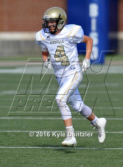 Thumbnail 3 in Boswell Gold @ Birdville Green photogallery.