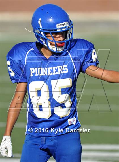 Thumbnail 1 in Boswell Gold @ Birdville Green photogallery.