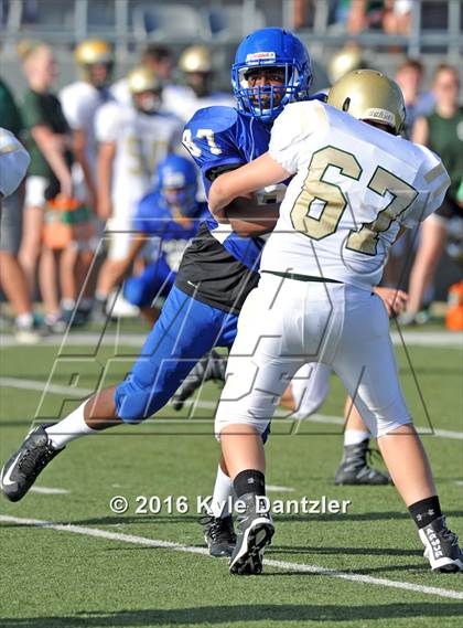 Thumbnail 2 in Boswell Gold @ Birdville Green photogallery.
