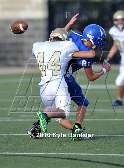 Thumbnail 3 in Boswell Gold @ Birdville Green photogallery.
