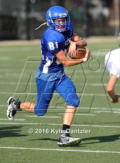 Thumbnail 3 in Boswell Gold @ Birdville Green photogallery.