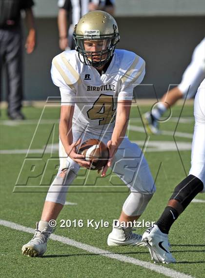 Thumbnail 3 in Boswell Gold @ Birdville Green photogallery.