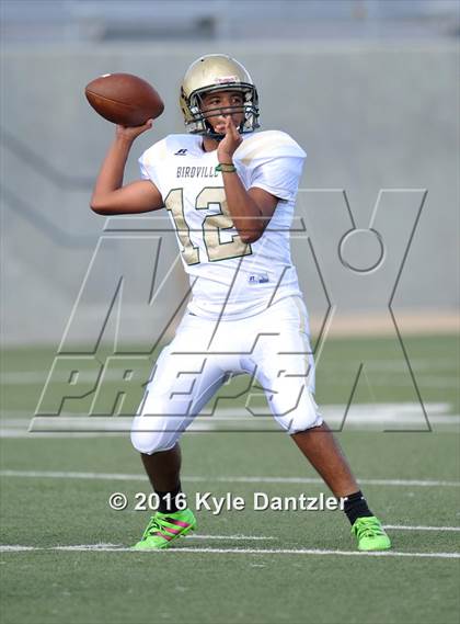 Thumbnail 2 in Boswell Gold @ Birdville Green photogallery.