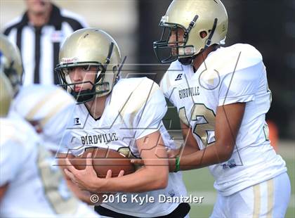 Thumbnail 3 in Boswell Gold @ Birdville Green photogallery.