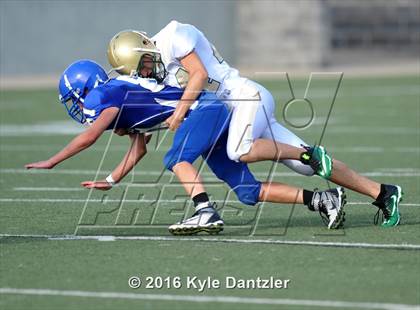 Thumbnail 1 in Boswell Gold @ Birdville Green photogallery.