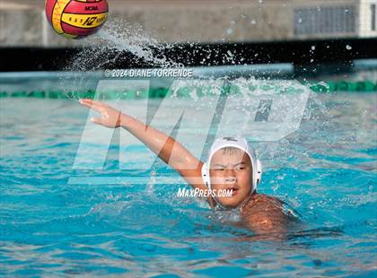 Thumbnail 1 in Crean Lutheran @ Woodbridge photogallery.