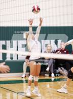 Photo from the gallery "Pocatello vs. Morgan"