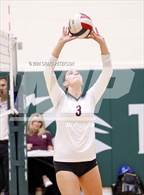 Photo from the gallery "Pocatello vs. Morgan"