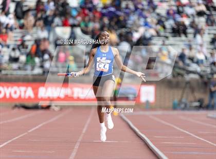 Thumbnail 2 in Penn Relays (4 X 400 Meter) photogallery.