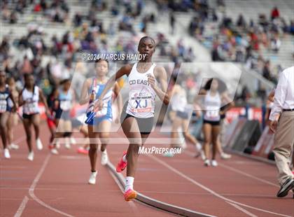 Thumbnail 1 in Penn Relays (4 X 400 Meter) photogallery.