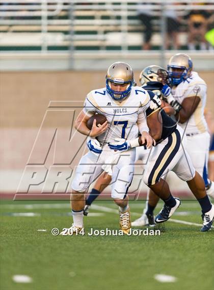 Thumbnail 1 in Alamo Heights @ O'Connor photogallery.