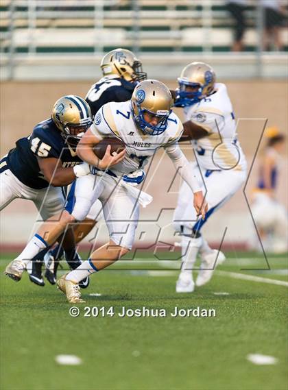 Thumbnail 3 in Alamo Heights @ O'Connor photogallery.