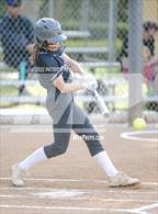 Photo from the gallery "Beckman vs. Portola"