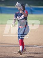 Photo from the gallery "Beckman vs. Portola"