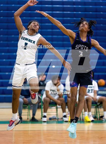 Thumbnail 3 in Spoto @ Sumner photogallery.