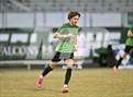 Photo from the gallery "Panther Creek @ Green Hope"