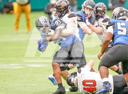 Thumbnail 2 in North Forney vs Aledo (UIL 5A Area) photogallery.