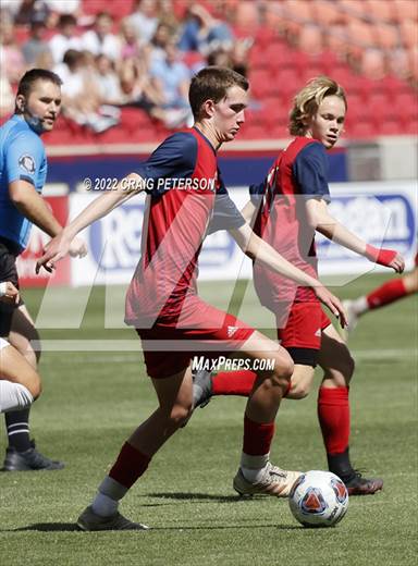 null - Photo 11