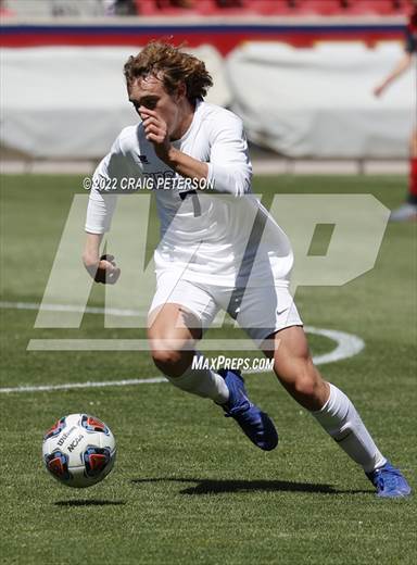 null - Photo 21