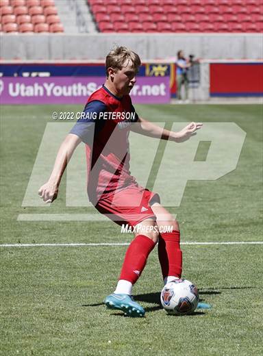 null - Photo 01