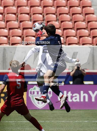 null - Photo 01