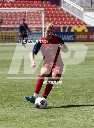 null - Photo 11
