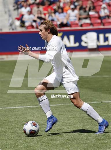 null - Photo 31
