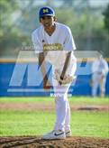 Photo from the gallery "Burroughs @ Muir"